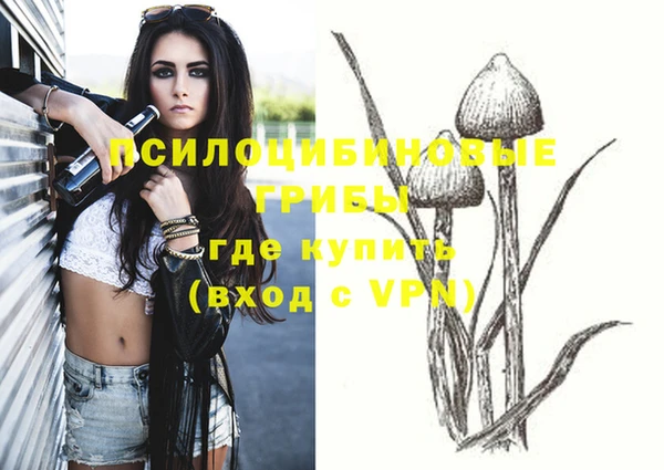 ГАЛЛЮЦИНОГЕННЫЕ ГРИБЫ Бугульма