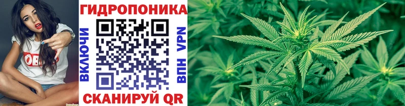 Бошки Шишки THC 21%  Островной 